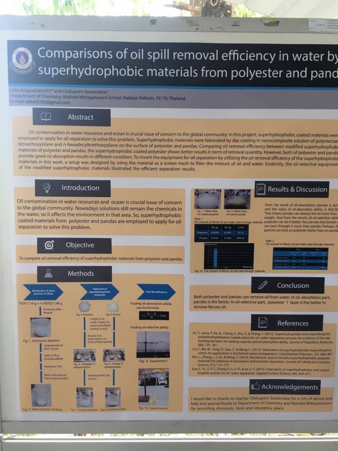 15536938_1077738165672225_240203226_o